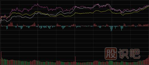 怎樣看<a href=http://www.xinxiangsc2.com/GPRM/sy/1798.html target=_blank class=infotextkey>大盤</a>和股票的分時走勢圖