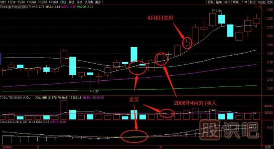 如何在逆勢中選擇上漲的個股？